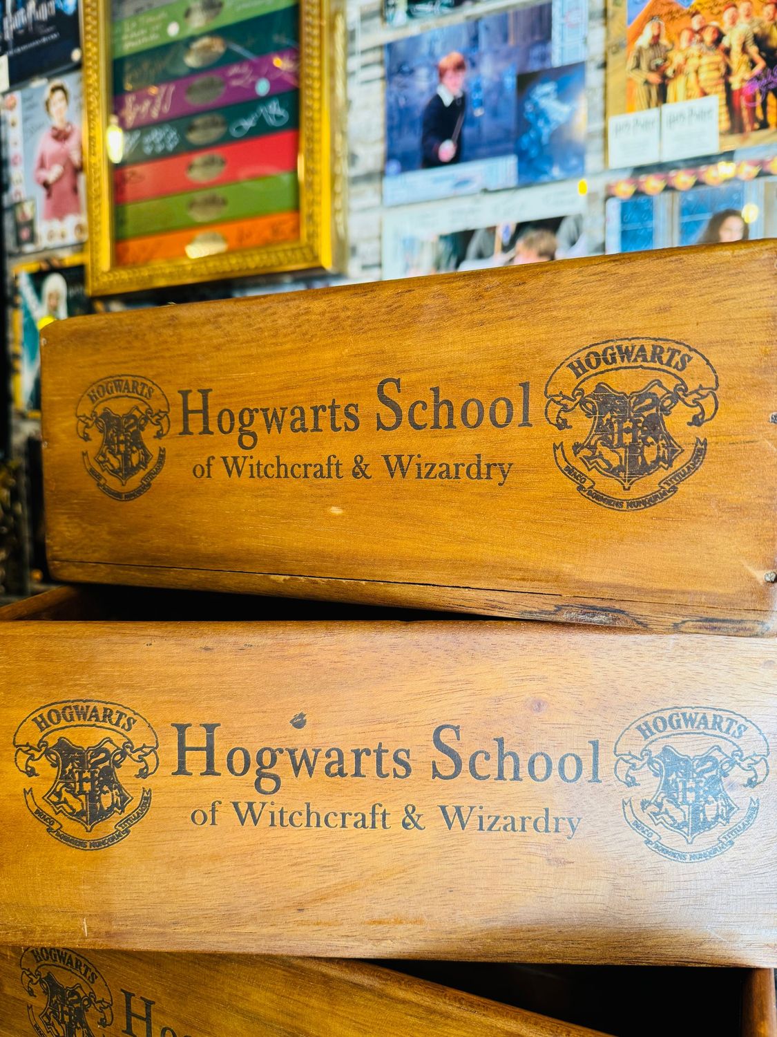 REPLICA CAJA MADERA POTIONS HOGWARTS SCHOOL L HARRY POTTER