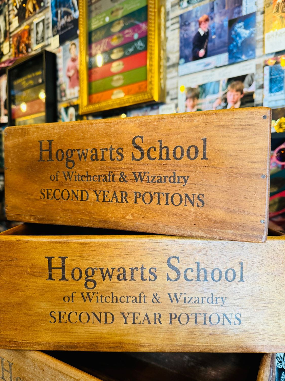REPLICA CAJA MADERA SECOND YEAR POTIONS HOGWARTS SCHOOL L HARRY POTTER
