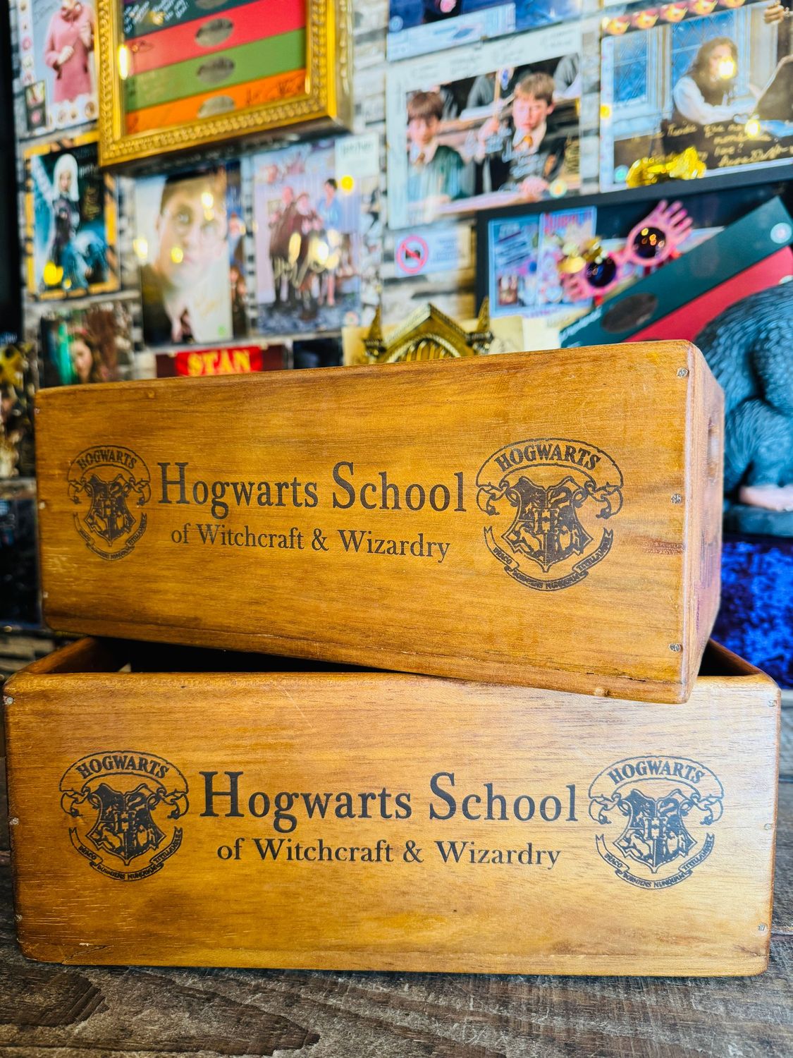 REPLICA CAJA MADERA POTIONS HOGWARTS SCHOOL XL HARRY POTTER