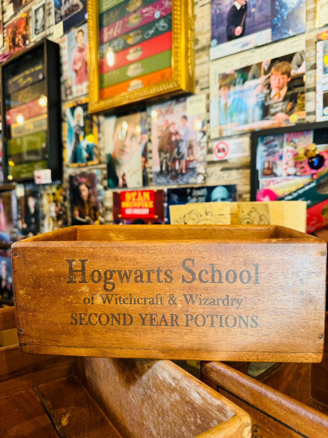 REPLICA CAJA MADERA SECOND YEAR POTIONS HOGWARTS SCHOOL M HARRY POTTER