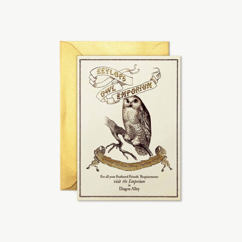 POSTAL EEYLOPS OWL EMPORIUM HARRY POTTER MINALIMA