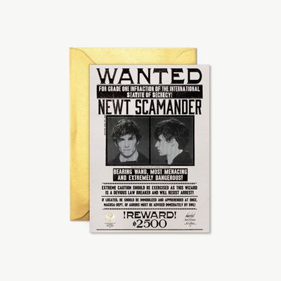 POSTAL WANTED NEWT SCAMANDER ANIMALES FANTASTICOS MINALIMA