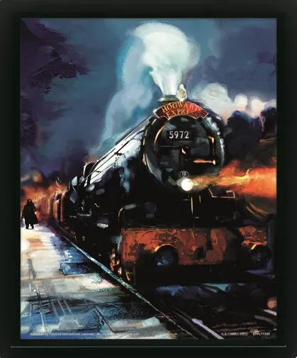 MARCO 3D LENTICULAR PLATAFORMA 9 3/4 HARRY POTTER