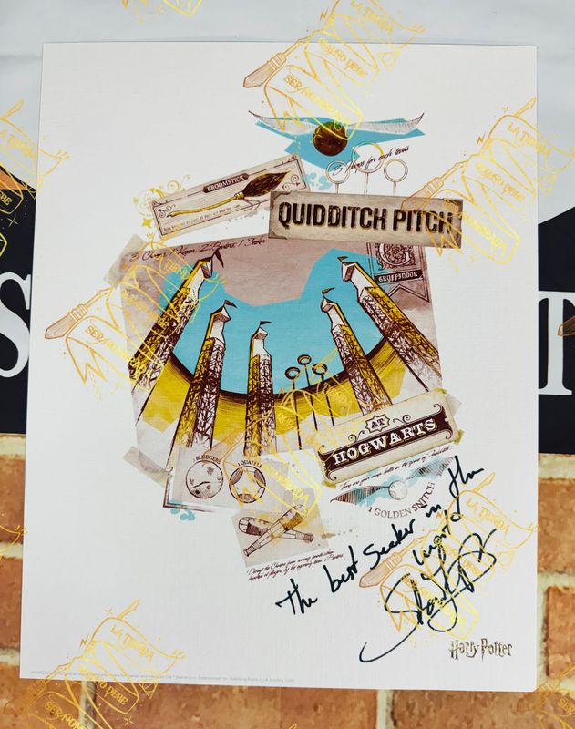 ​LITOGRAFIA QUIDDITCH FIRMADA POR VIKTOR KRUM (STAN YANEVSKI)