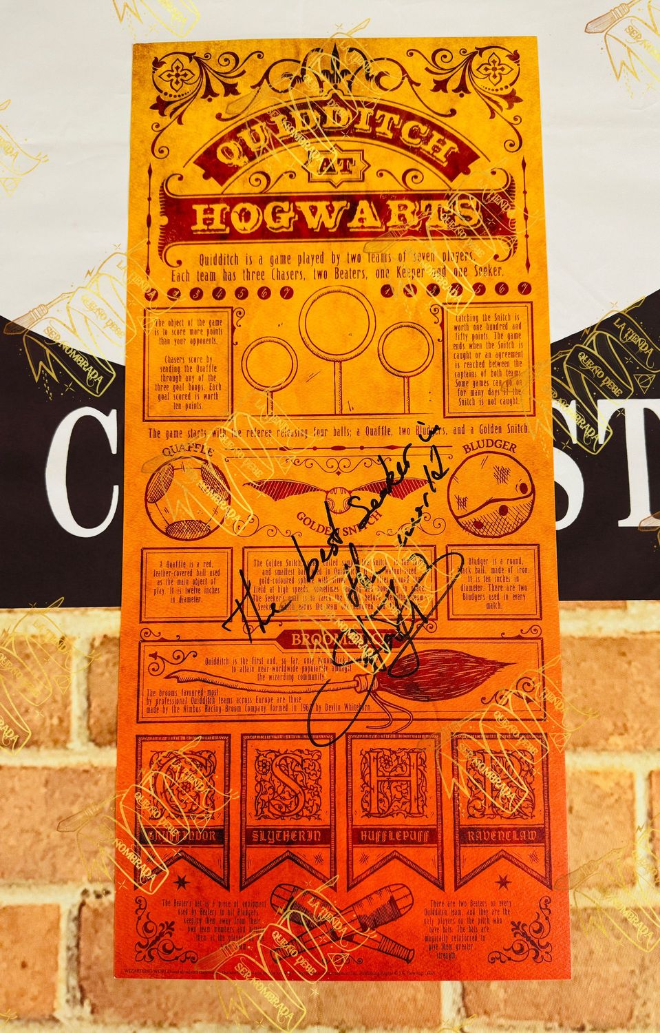 ​LITOGRAFIA QUIDDITCH LIMITADA FIRMADA POR VIKTOR KRUM (STAN YANEVSKI)
