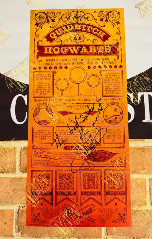 ​LITOGRAFIA QUIDDITCH LIMITADA FIRMADA POR VIKTOR KRUM (STAN YANEVSKI)
