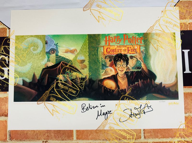 ​LITOGRAFIA HARRY POTTER Y EL CALIZ DE FUEGO FIRMADA POR VIKTOR KRUM (STAN YANEVSKI)