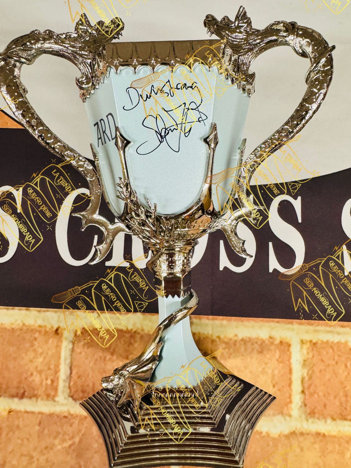 COPA DE LOS 3 MAGOS FIRMADA POR VIKTOR KRUM (STAN YANEVSKI)