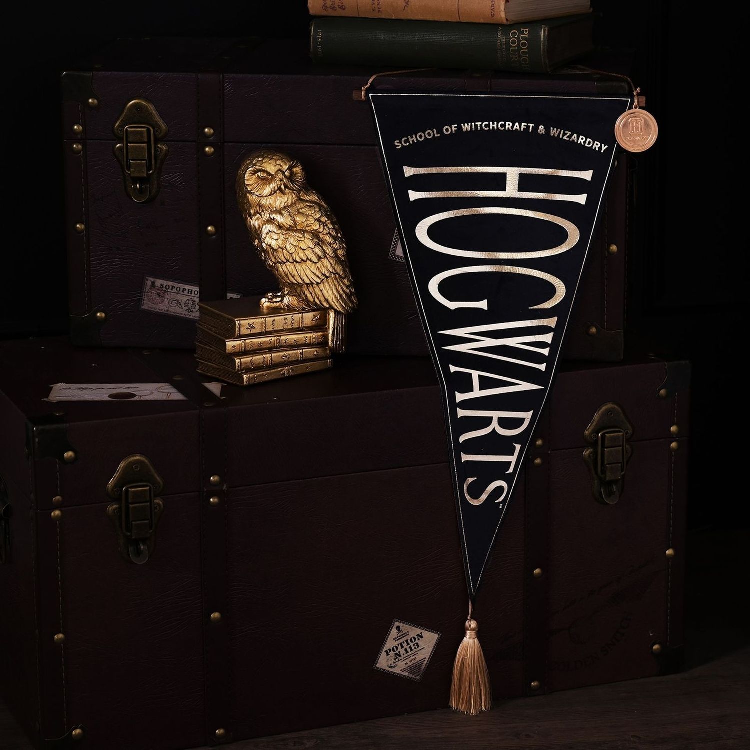 BANDERA HOGWARTS HARRY POTTER