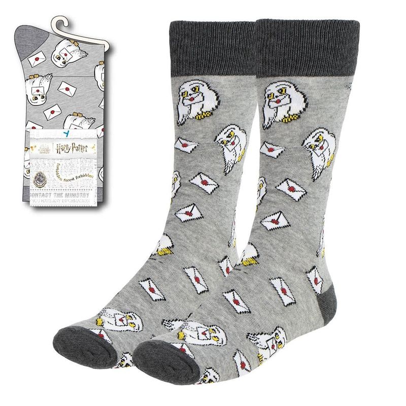 CALCETINES HEDWIG & CARTAS ACEPTACION HARRY POTTER