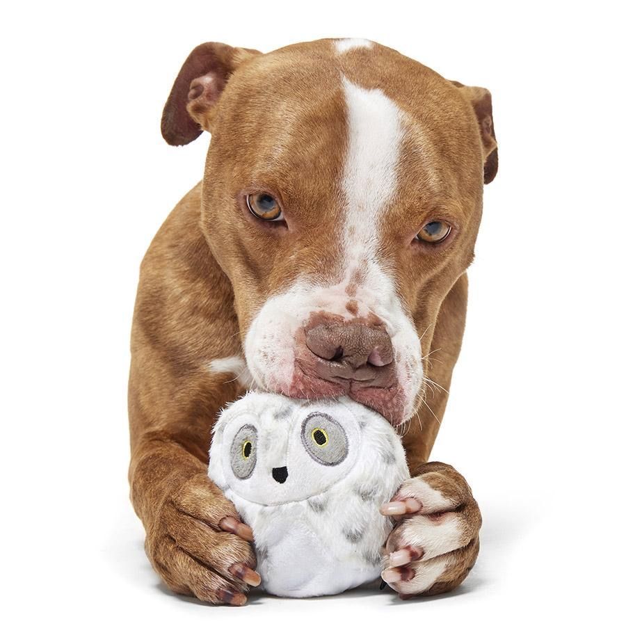 JUGUETE PERRO HEDWIG HARRY POTTER JUGUETE PERRO HEDWIG HARRY POTTER