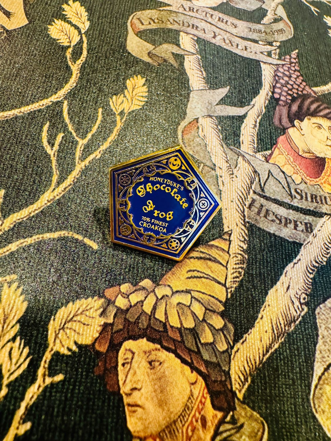 PIN CAJA RANA DE CHOCOLATE HARRY POTTER