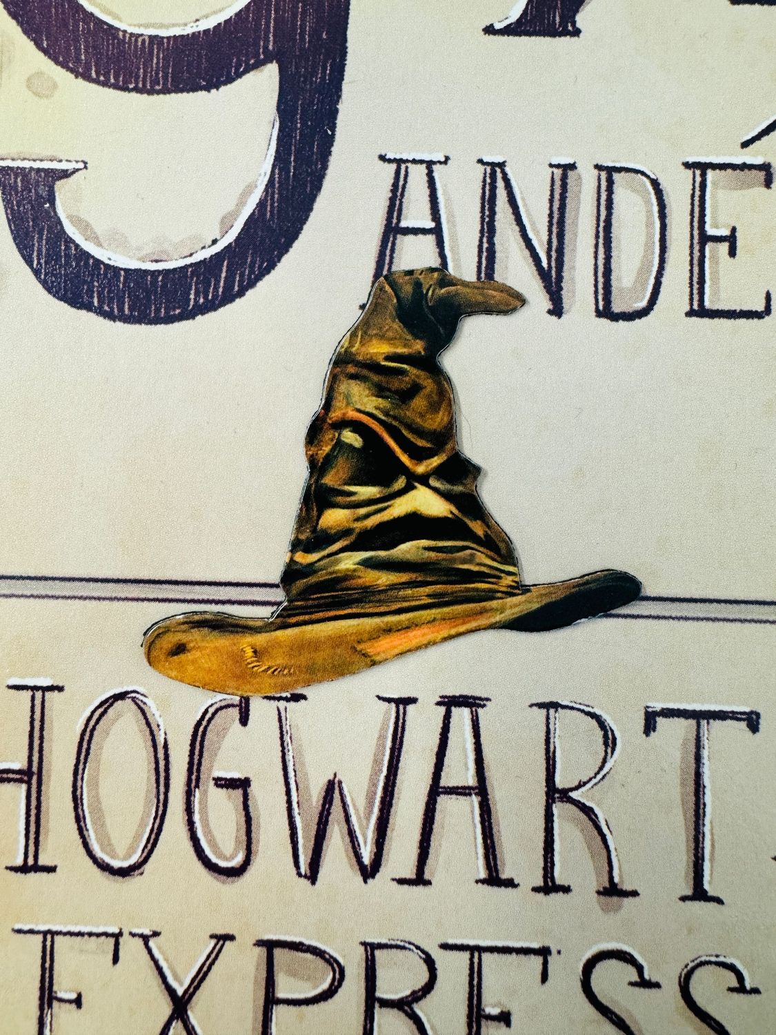 IMAN SOMBRERO SELECCIONADOR HARYR POTTER