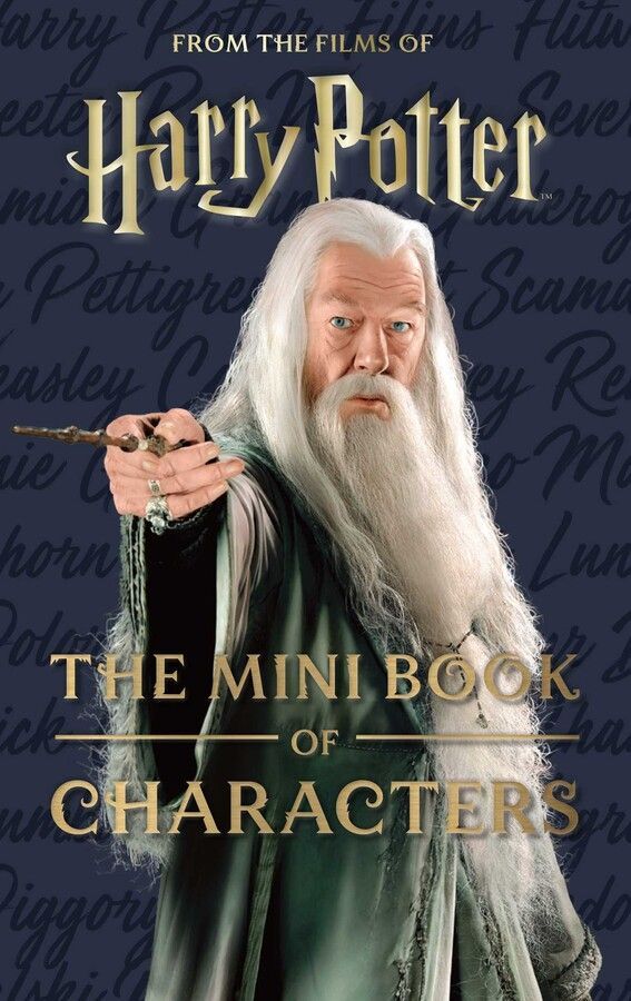 MINI BOOK OF CHARACTERS OF HARRY POTTER