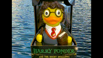 PATO HARRY PONDER