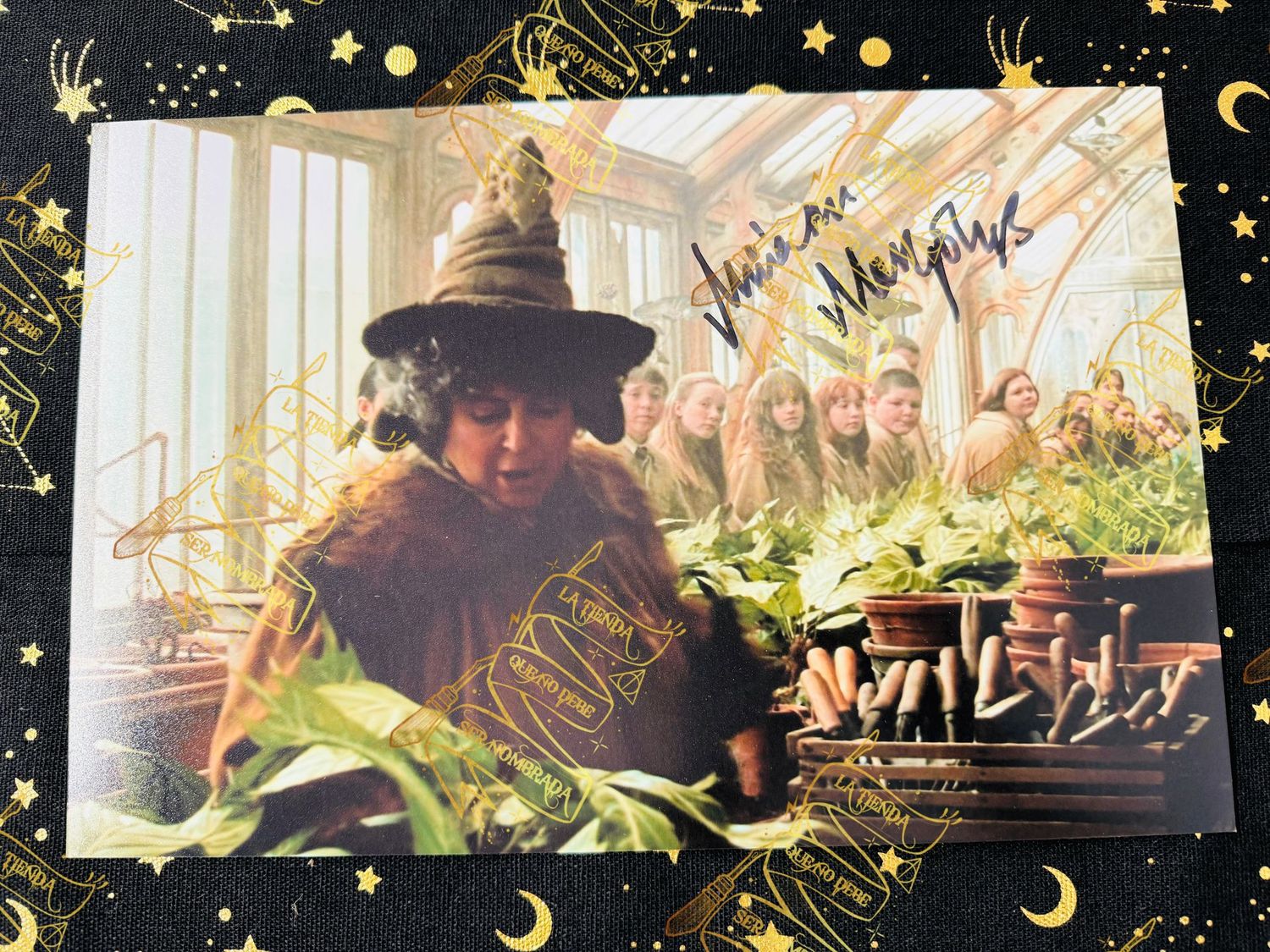 FOTOGRAFIA FIRMADA POR POMONA SPROUT (MIRIAM MARGOLYES)