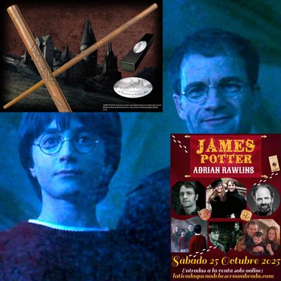 ENTRADA + VARITA JAMES POTTER