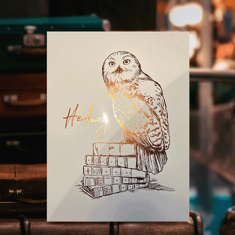 LITOGRAFIA HEDWIG EDICION COLECCIONISTA HARRY POTTER