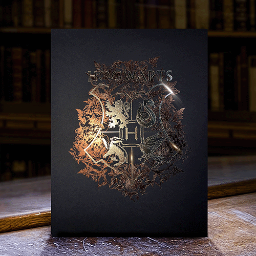 LITOGRAFIA HOGWARTS EDICION COLECCIONISTA HARRY POTTER