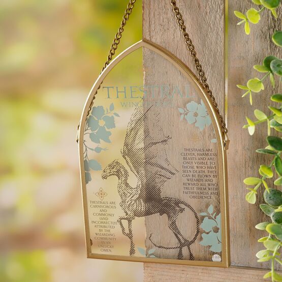 PREVENTA - PLACA THESTRAL HARRY POTTER