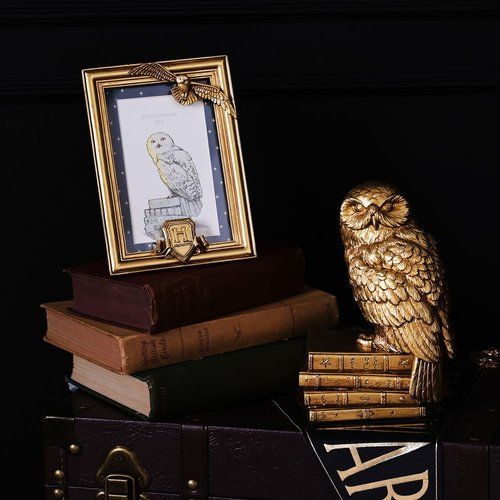 MARCO FOTOS HEDWIG HARRY POTTER