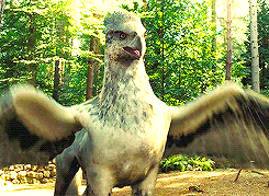 BUCKBEAK