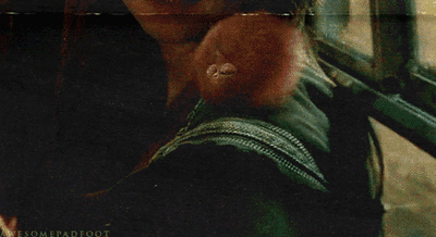 PYGMY PUFF