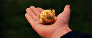 SNITCH DORADA