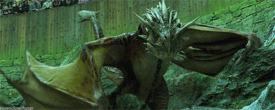 DRAGON HUNGARO