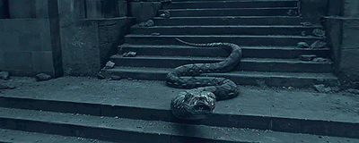 NAGINI