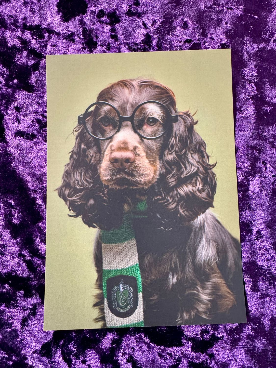 POSTAL EXCLUSIVA PATRONUS MOLLY SLYTHERIN