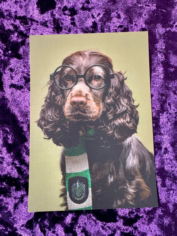 POSTAL EXCLUSIVA PATRONUS MOLLY SLYTHERIN