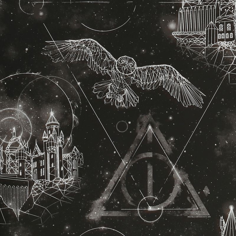 PAPEL PARED MUNDO MAGICO ALUMBRA OSCURIDAD HARRY POTTER