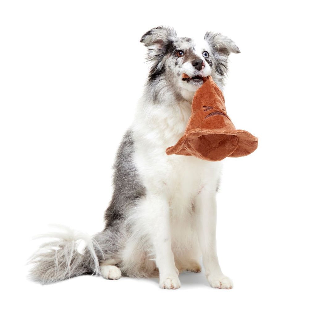 JUGUETE PERRO SOMBRERO SELECIONADOR + PELOTA SORPRESA CASAS HARRY POTTER