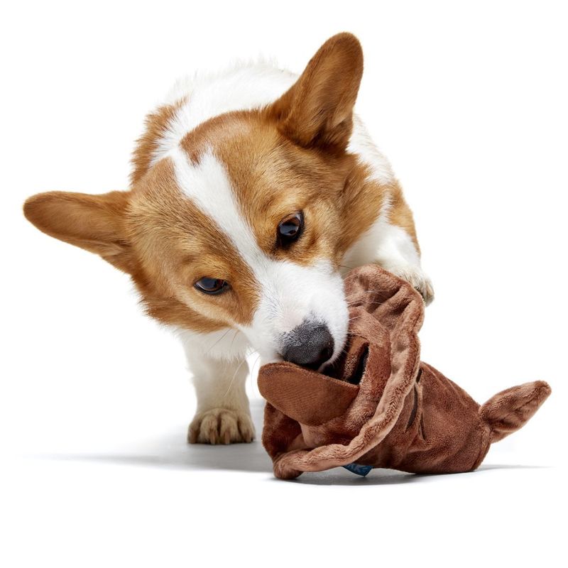 JUGUETE PERRO SOMBRERO SELECIONADOR & PELOTA SORPRESA CASAS HARRY POTTER