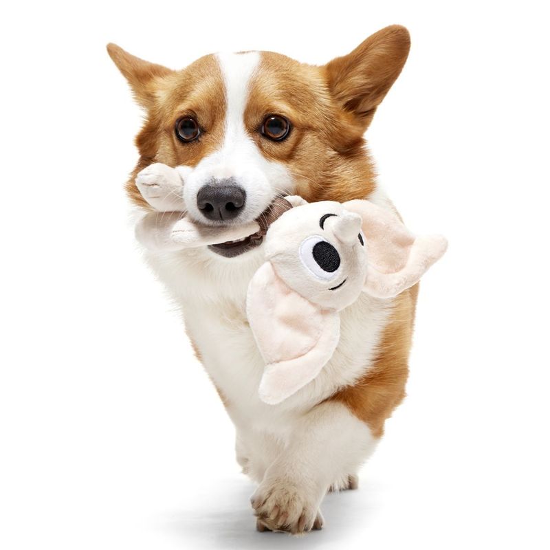 JUGUETE PERRO DOBBY & CALCETIN HARRY POTTER