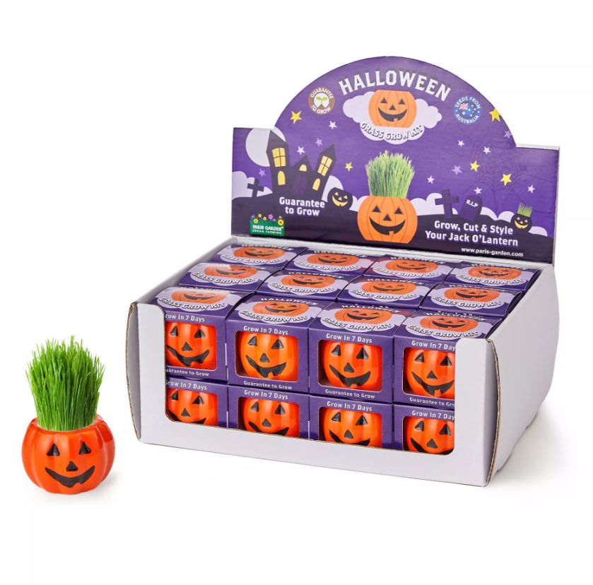 MACETA PLANTA HALLOWEEN CALABAZA