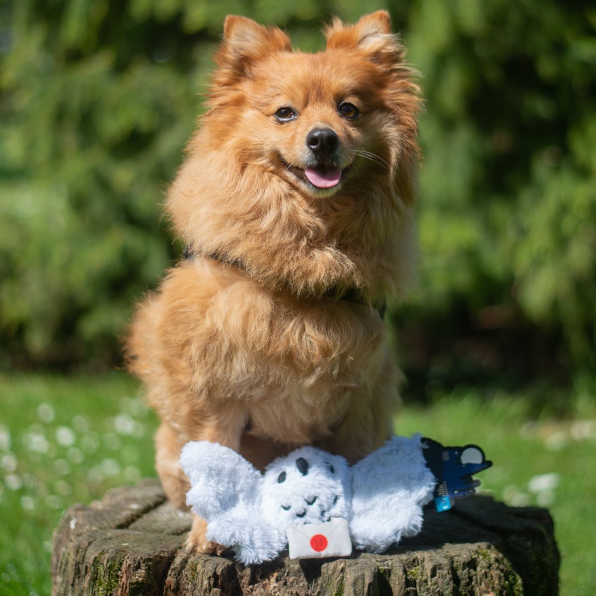 JUGUETE PERRO HEDWIG HARRY POTTER