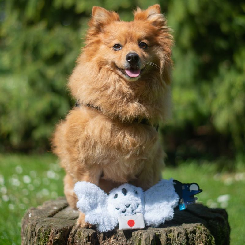 JUGUETE PERRO HEDWIG HARRY POTTER