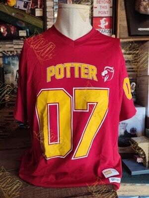 CAMISETA PREMIUM POTTER 07 HARRY POTTER CAMISETA PREMIUM POTTER 07 HARRY POTTER