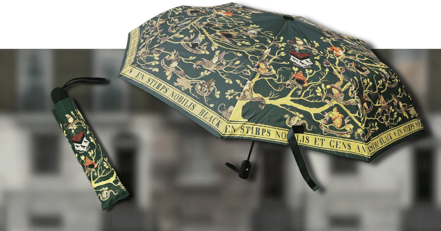 PREVENTA - PARAGUAS PLEGABLE FAMILIA BLACK HARRY POTTER PREVENTA - PARAGUAS PLEGABLE FAMILIA BLACK HARRY POTTER