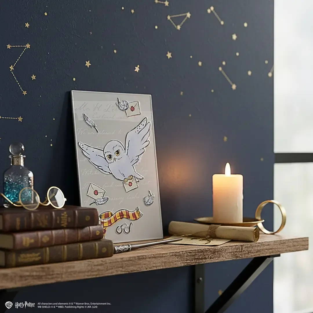 PREVENTA - PLACA METALICA HEDWIG HARRY POTTER