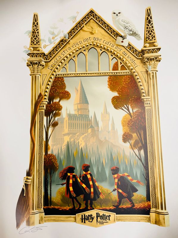 LITOGRAFIA HARRY POTTER Y LA PIEDRA FILOSOFAL EDICION LIMITADA HARRY POTTER