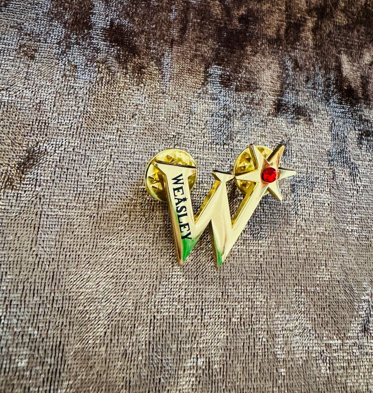 PIN WEASLEY HARRY POTTER