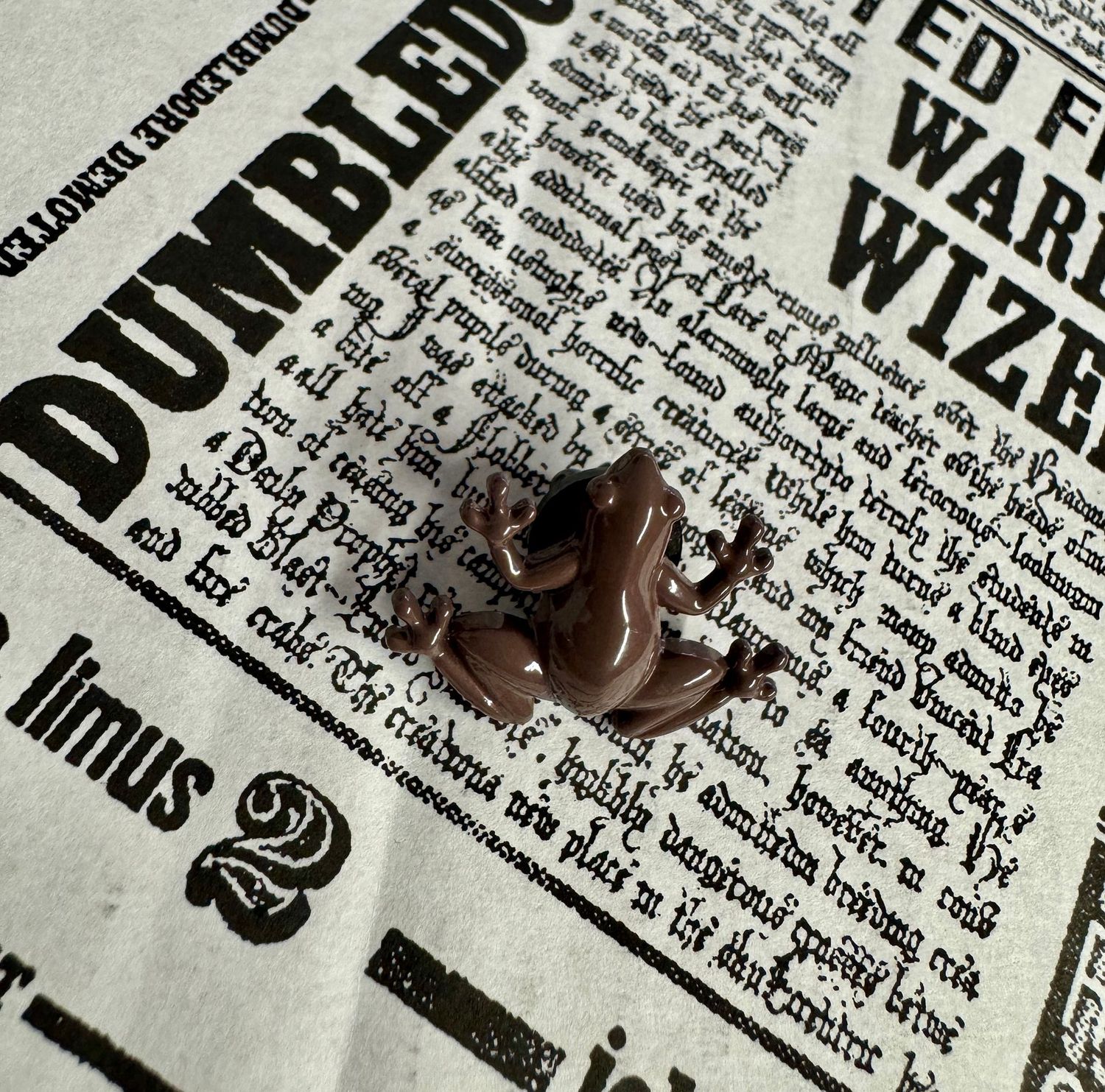 PIN RANA CHOCOLATE HARRY POTTER