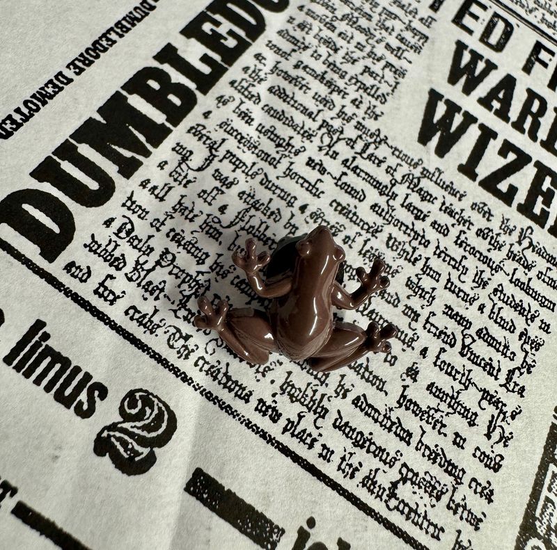 PIN RANA CHOCOLATE HARRY POTTER