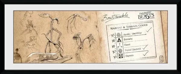 MARCO BOWTRUCKLE PRINT ANIMALES FANTASTICOS