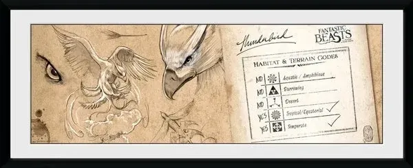 MARCO THUNDERBIRD PRINT ANIMALES FANTASTICOS