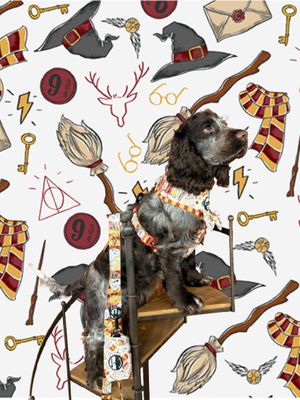 COLECCION ARTILUGIOS MAGICOS