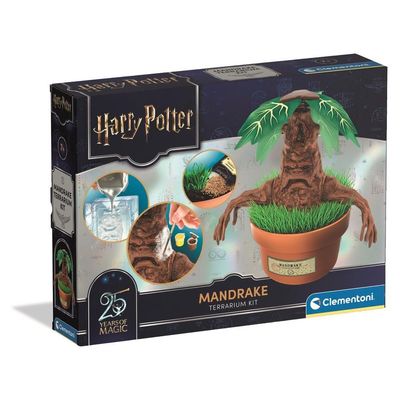 KIT TERRARIUM MAGICO